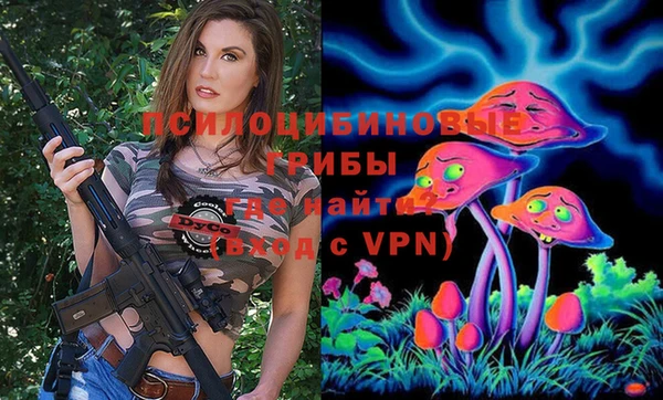 ешки Вязьма