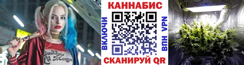 Купить закладки  Борзя  Бошки марихуана семена 